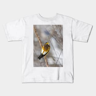 Evening Grosbeak - Algonquin Park Kids T-Shirt